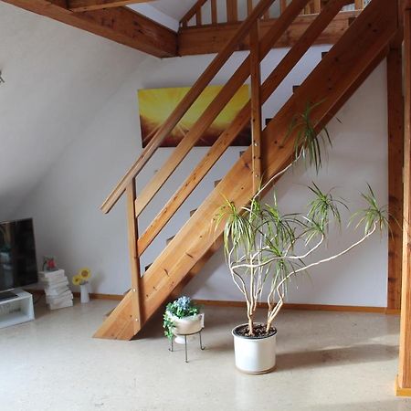 Ferienwohnung Im Galerie-Haus Urbar  外观 照片