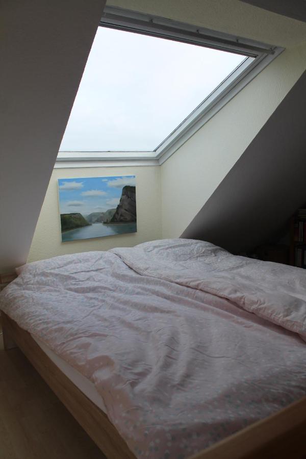 Ferienwohnung Im Galerie-Haus Urbar  外观 照片
